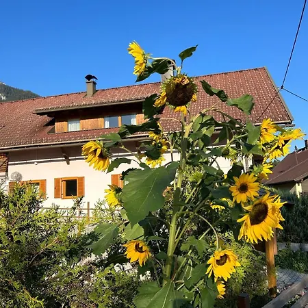 아파트 In Pressegger Mit Eigenem Garten Und Carport 헤르마고